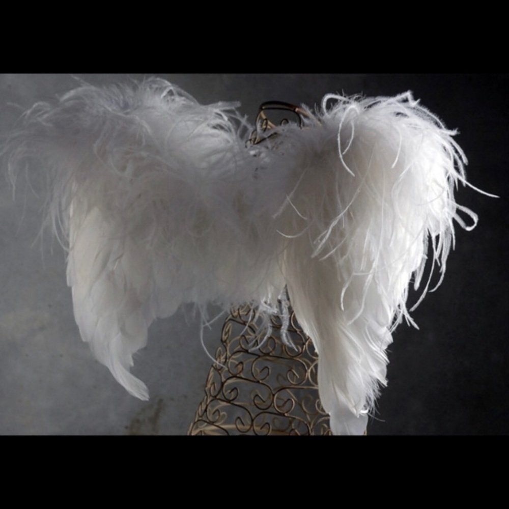 White Angel wings